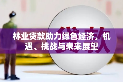 宁明林业贷款助力绿色经济，机遇、挑战与未来展望