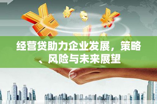 宁明经营贷助力企业发展，策略、风险与未来展望