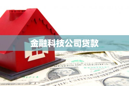 宁明金融科技公司贷款