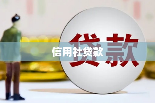 宁明信用社贷款