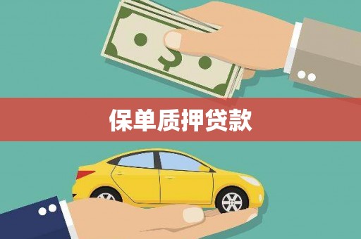 宁明保单质押贷款