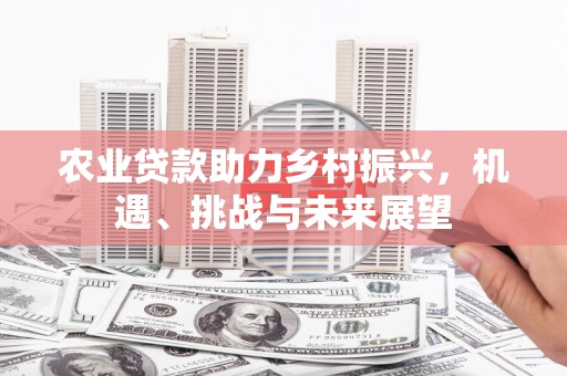 宁明农业贷款助力乡村振兴，机遇、挑战与未来展望
