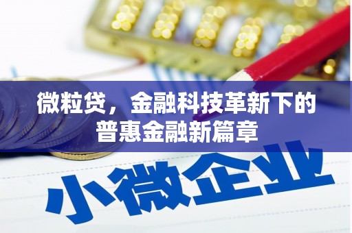 宁明微粒贷，金融科技革新下的普惠金融新篇章