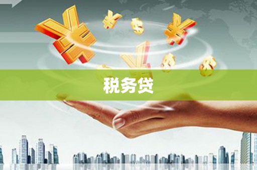 宁明税务贷