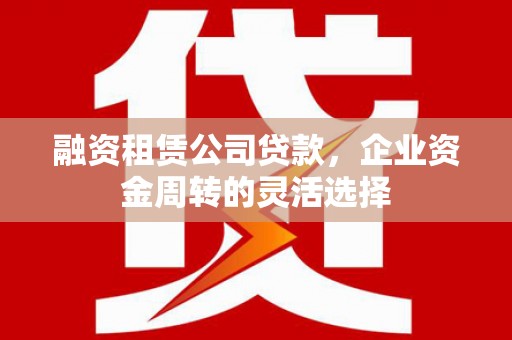 宁明融资租赁公司贷款，企业资金周转的灵活选择