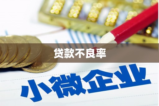 宁明贷款不良率