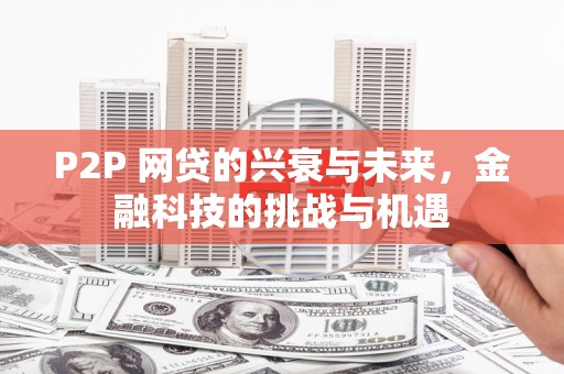 宁明P2P 网贷的兴衰与未来，金融科技的挑战与机遇