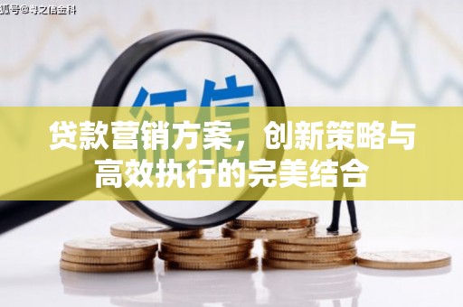宁明贷款营销方案，创新策略与高效执行的完美结合