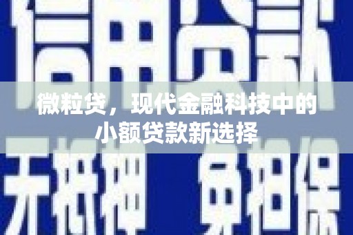 宁明微粒贷，现代金融科技中的小额贷款新选择