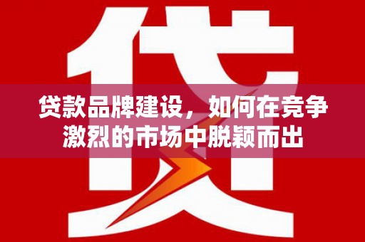 宁明贷款品牌建设，如何在竞争激烈的市场中脱颖而出