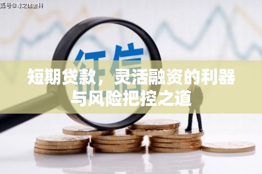 宁明短期贷款，灵活融资的利器与风险把控之道