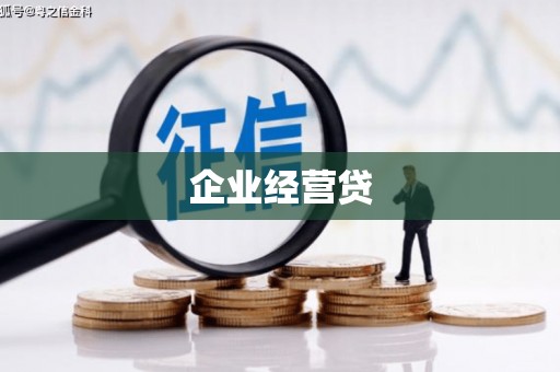 宁明企业经营贷