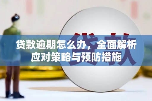 宁明贷款逾期怎么办，全面解析应对策略与预防措施