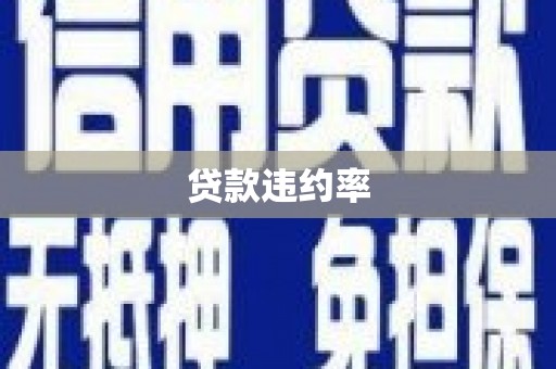 宁明贷款违约率