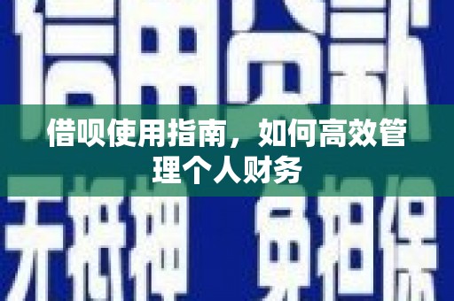 宁明借呗使用指南，如何高效管理个人财务