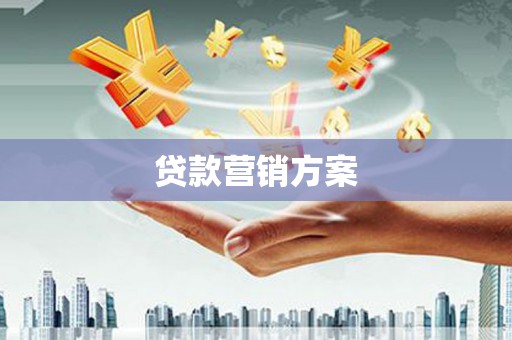 宁明贷款营销方案