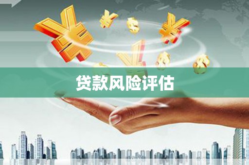 宁明贷款风险评估