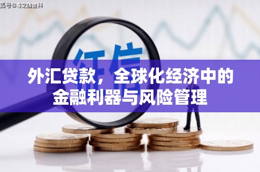 宁明外汇贷款，全球化经济中的金融利器与风险管理