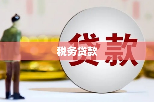宁明税务贷款