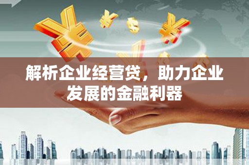 宁明解析企业经营贷，助力企业发展的金融利器