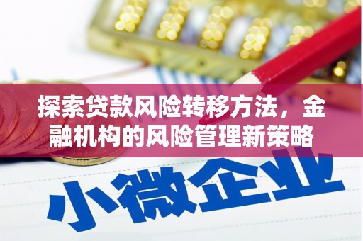 宁明探索贷款风险转移方法，金融机构的风险管理新策略