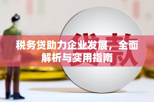 宁明税务贷助力企业发展，全面解析与实用指南