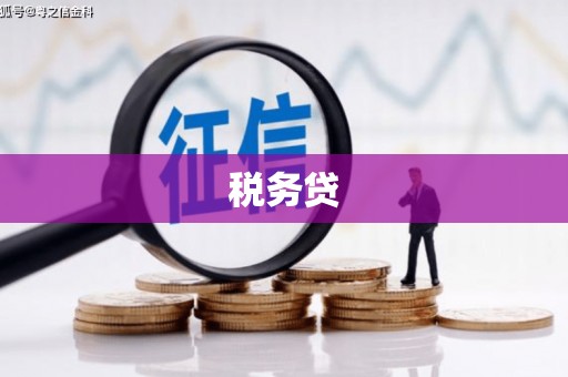 宁明税务贷