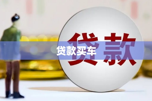 宁明贷款买车