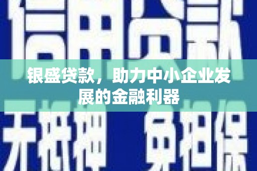 宁明银盛贷款，助力中小企业发展的金融利器