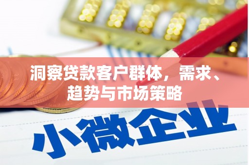 宁明洞察贷款客户群体，需求、趋势与市场策略