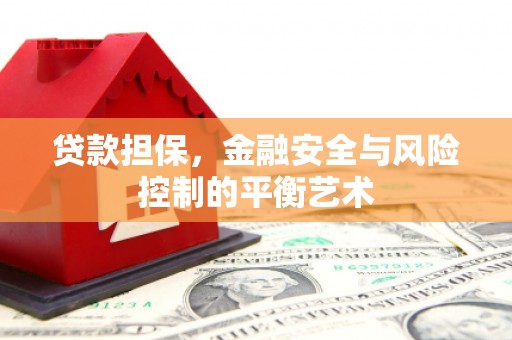 宁明贷款担保，金融安全与风险控制的平衡艺术