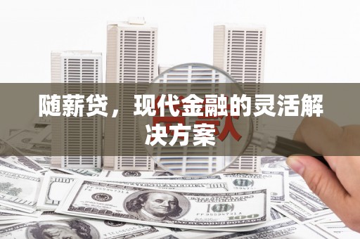 宁明随薪贷，现代金融的灵活解决方案