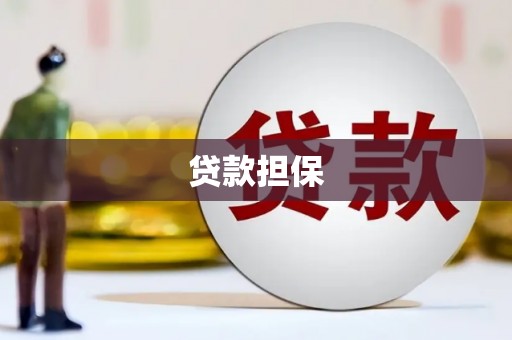 宁明贷款担保