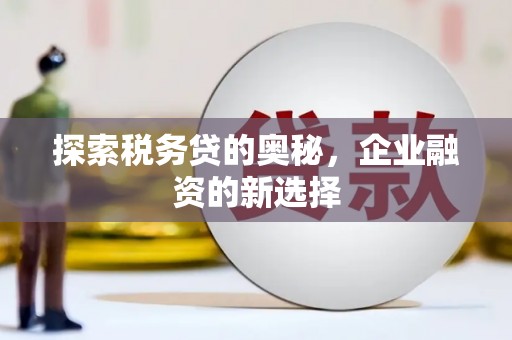 宁明探索税务贷的奥秘，企业融资的新选择