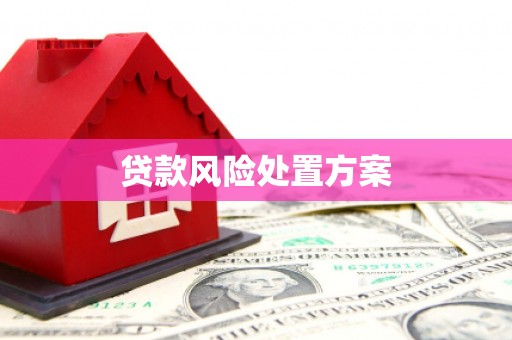 宁明贷款风险处置方案