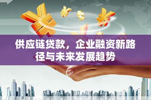 宁明供应链贷款，企业融资新路径与未来发展趋势