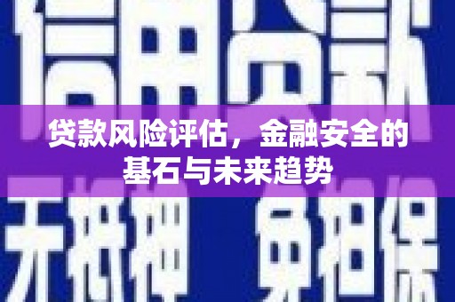 宁明贷款风险评估，金融安全的基石与未来趋势