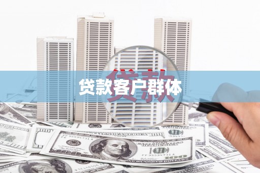 宁明贷款客户群体