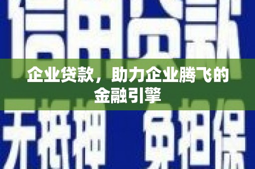 宁明企业贷款，助力企业腾飞的金融引擎