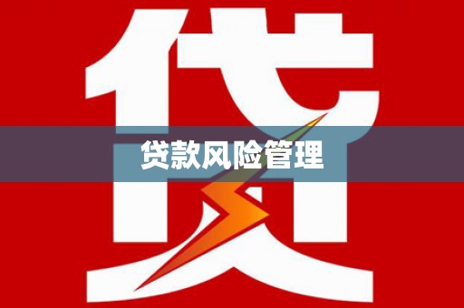 宁明贷款风险管理