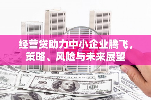 宁明经营贷助力中小企业腾飞，策略、风险与未来展望