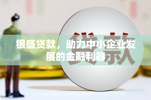 宁明银盛贷款，助力中小企业发展的金融利器