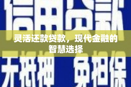 宁明灵活还款贷款，现代金融的智慧选择