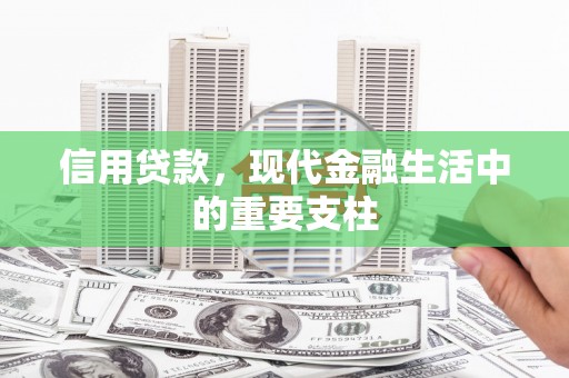 宁明信用贷款，现代金融生活中的重要支柱
