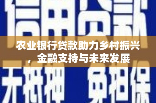 宁明农业银行贷款助力乡村振兴，金融支持与未来发展