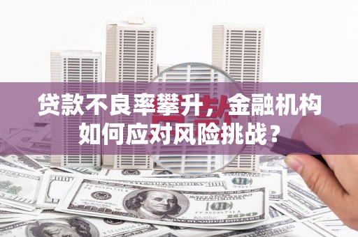 宁明贷款不良率攀升，金融机构如何应对风险挑战？