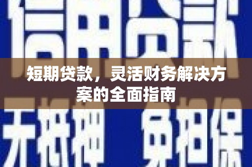 宁明短期贷款，灵活财务解决方案的全面指南