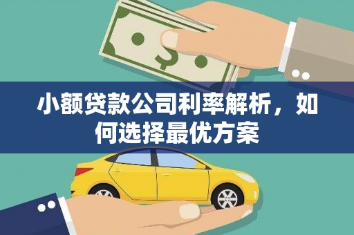 宁明小额贷款公司利率解析，如何选择最优方案