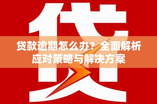 宁明贷款逾期怎么办？全面解析应对策略与解决方案