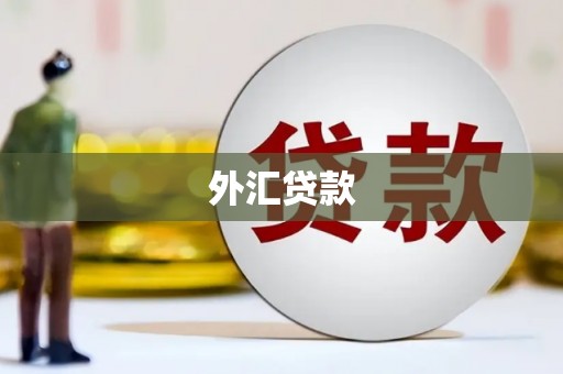 宁明外汇贷款